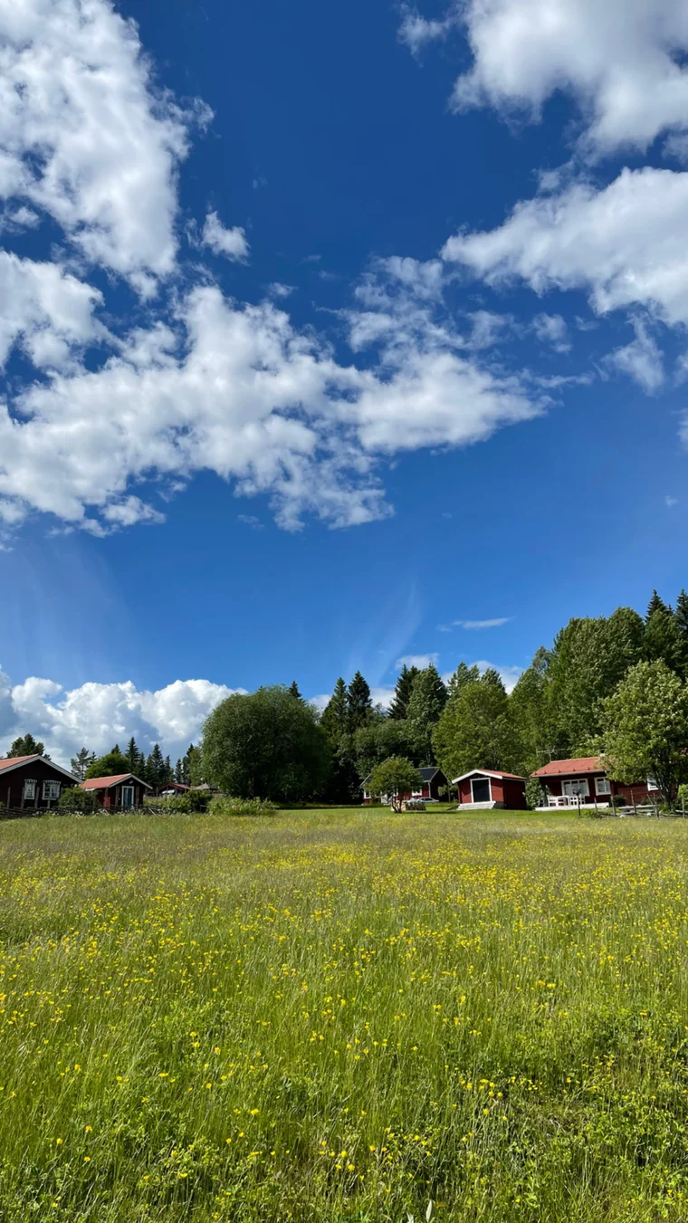 Summer meadow and red cottages in Närsen